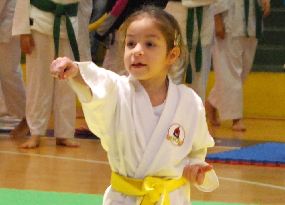 Immagine Karate giovani